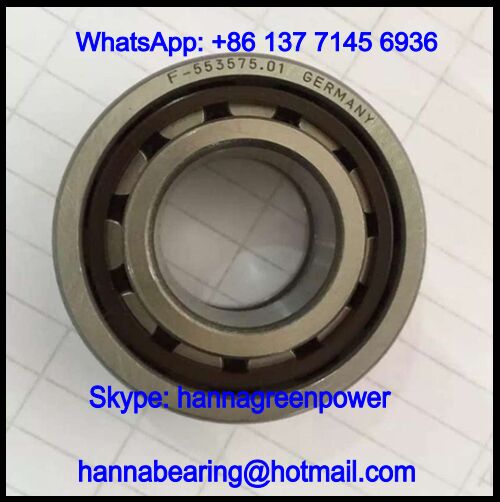 553575 Cylindrical Roller Bearing / Printing Machine Bearing 20x42x16mm