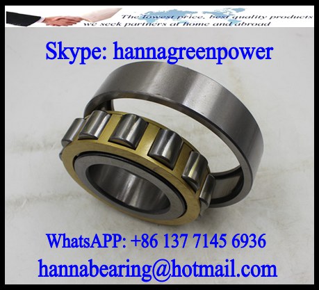 NF1021M/C4 Centrifuge Bearing / Cylindrical Roller Bearing 105x160x26mm