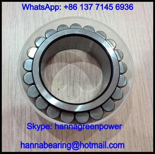 F-229075.02 Cylindrical Roller Bearing / Reducer Gearbox Bearing