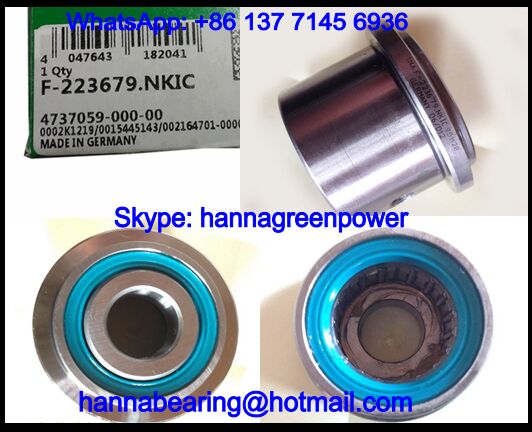 F-223679.HWL Needle Roller Bearing / Printing Machine Bearing