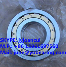 NJ2315-E-TVP2 cylindrical roller bearing 75*160*55 mm