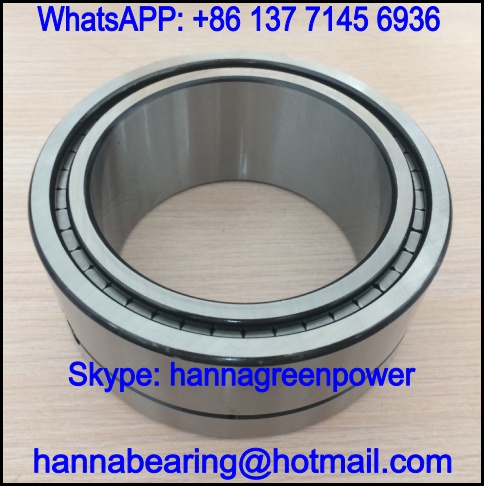 RSF-4820E4 Double Row Cylindrical Roller Bearing 100x125x25mm