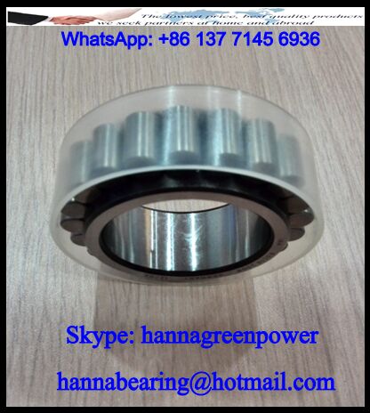 NJ38/54.5/29.5 Cylindrical Roller Bearing 38x54.5x29.5mm