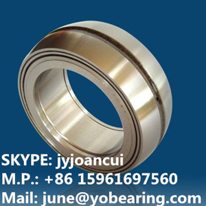 SL05 034E double row cylindrical roller bearing 170*260*95mm