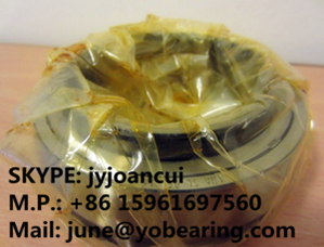 SL06 036E double row cylindrical roller bearing 180*280*120mm