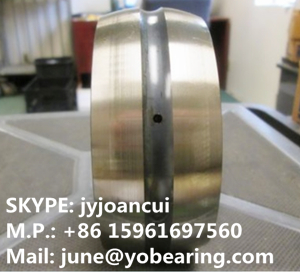 SL05 036E double row cylindrical roller bearing 180*280*100mm