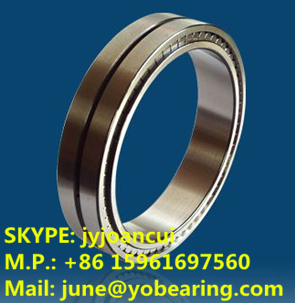 SL01 4834 cylindrical roller bearing 170*215*45mm