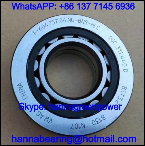 F-604757.04.NU-BNS-HLC Automotive Cylindrical Roller Bearing