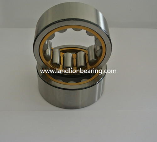 F-221321.1 Cylindrical Roller Bearing 49.55X80X32mm