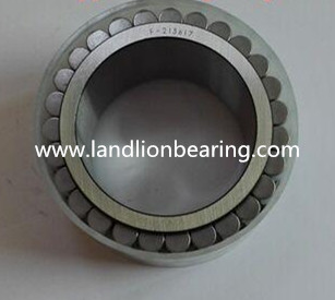 HS-263 Cylindrical Roller Bearing 50*69.67*32mm