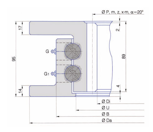 I.1000.2.20.00.A slewing ring bearing