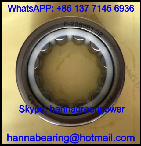 F-238891.02 Automobile Bearing / Cylindrical Roller Bearing 32x53.5x19.5mm