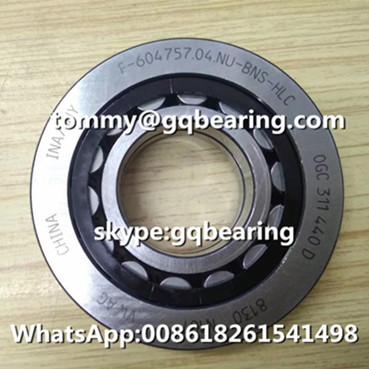 F-604757.04.NU-BNS-HLC Cylindrical Roller Bearing for Automobile