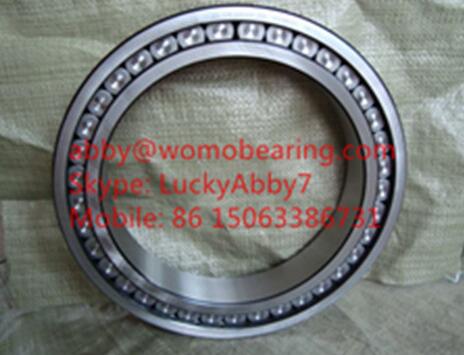 SL181834 Full Complement Cylindrical Roller Bearing 170x215x22mm