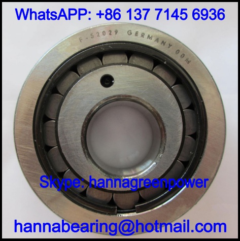F-52029 Cylindrical Roller Bearing / Eccentric Bearing