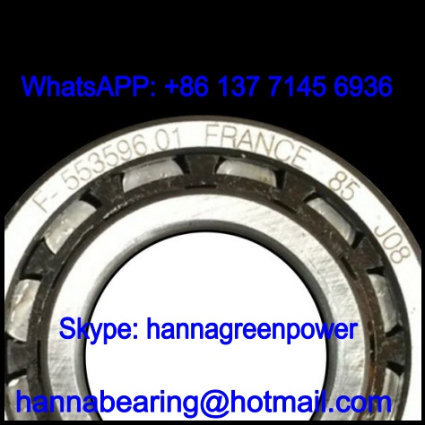F-553596 / F-553596.NUP Cylindrical Roller Bearing 17x35x14mm