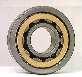 NJ205M Cylindrical Roller Bearing
