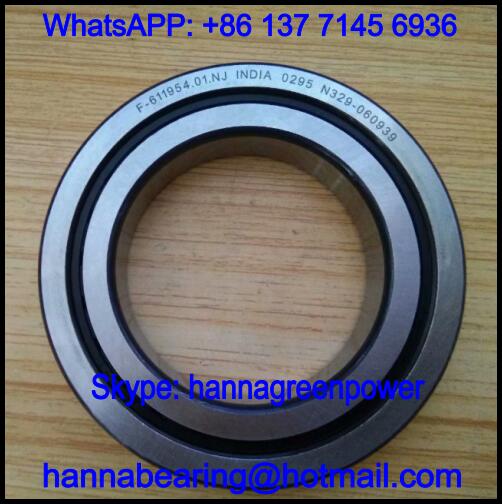 F-611954.01.NJ Automobile Bearing / Cylindrical Roller Bearing