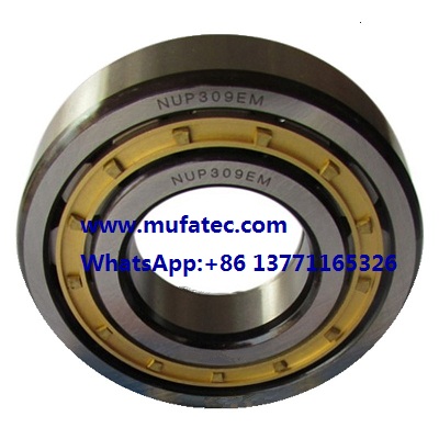 NUP309EM bearing 45x100x25mm