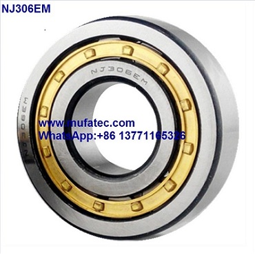 NJ306EM bearing 30x72x19mm