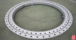 I2175300 mining equip slewing ring