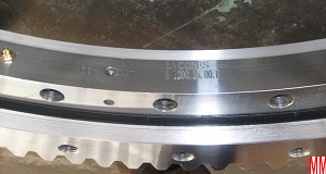 E1200.25.00.B standard slewing ring