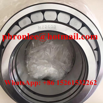 MZ270/P6 Cylindrical Roller Bearing