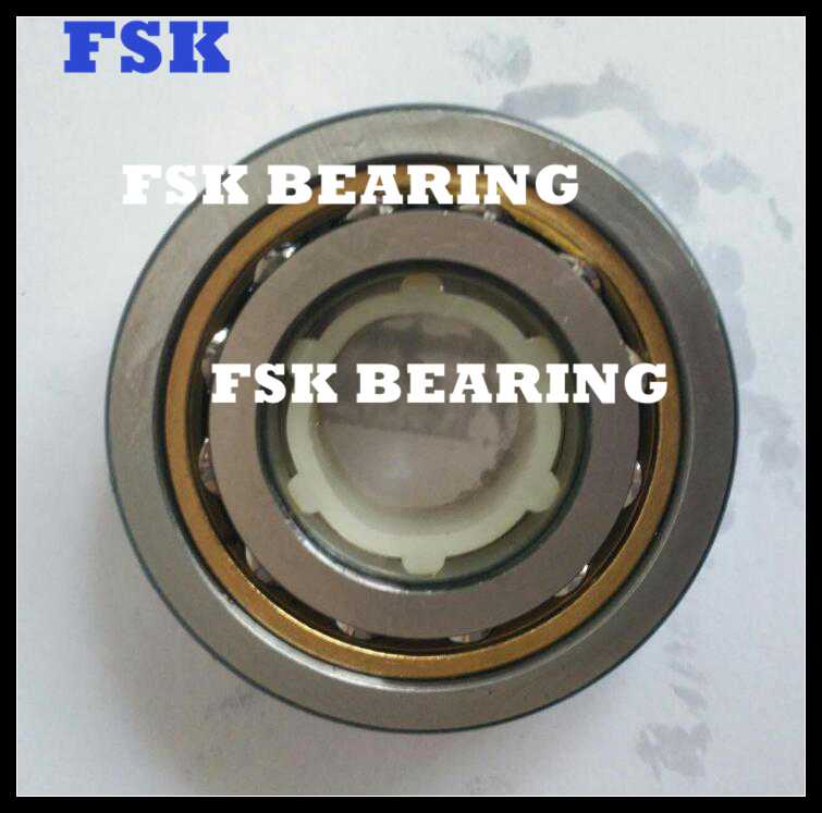 FSKG Brand 116118 Four Point Angular Contact Ball Bearing Brass Cage