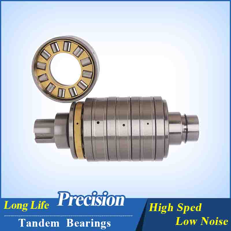 F-53579 22*70*172 Extruder Gearbox Tandem Bearings
