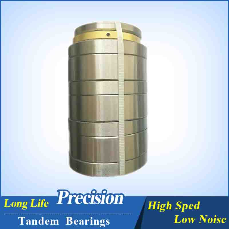 F-230605 5*31.5*81 Multi-stage Cylindrical Thrust Bearin manufacturer