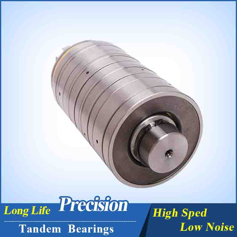 F81658100 25*105*307 Extruder Gearbox Tandem Bearing, F81658100