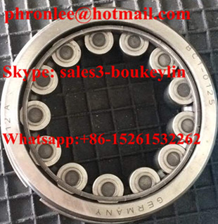 BC1-0125D Cylindrical Roller Bearing