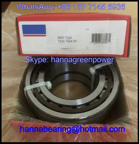 BVN-7160 Cylindrical Roller Bearing / Air Compressor Bearing 95x170x43mm