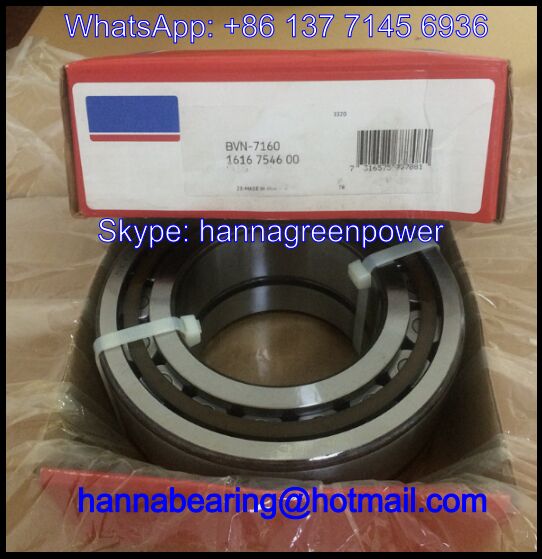 BVN7160 Cylindrical Roller Bearing / Air Compressor Bearing