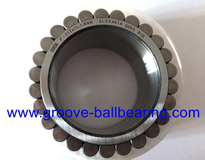 F217411.1 Full Complement Cylindrical Roller Bearing 65x93.1x55mm, F