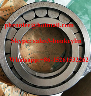 F-123243.02 Cylindrical Roller Bearing 20x36.8x16mm