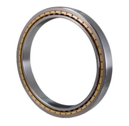NJ 2228/NU2228/42528 cylindrical roller bearings avaiable