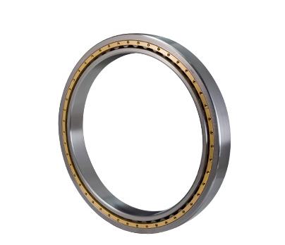 N1896/P5 Single row cylindrical roller bearing 480*600*56 mm