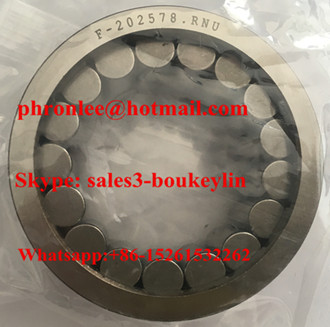 F-202578.01 Cylindrical Roller Bearing 35.4x57x22mm