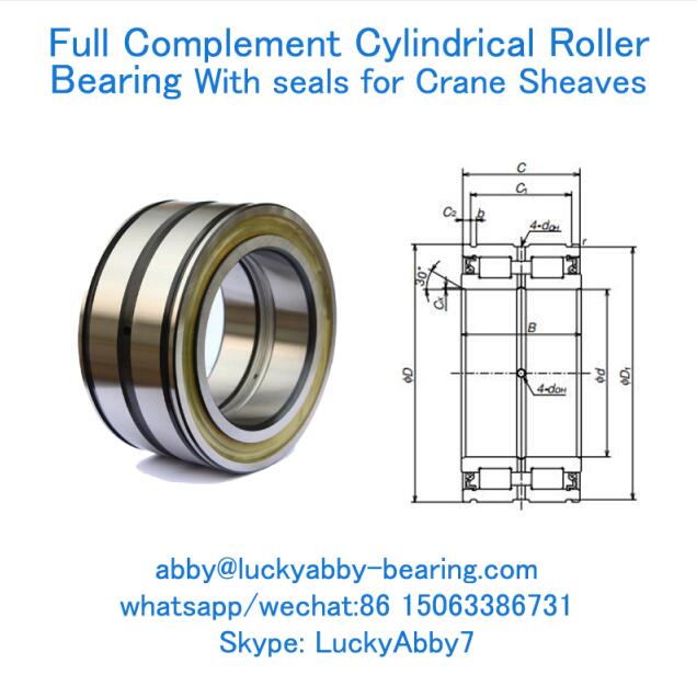 RS-5008DSE7NA Full Complement Cylindrical roller bearing with seals 40mmX68mmX38mm