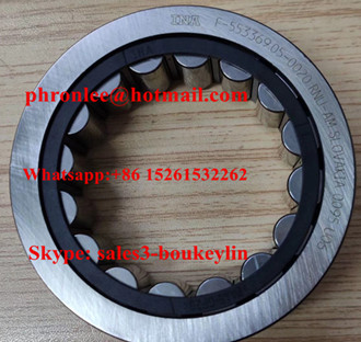 F-553369.05-0020 Cylindrical Roller Bearing 46x73x24mm