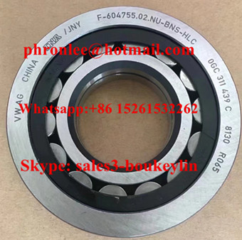 F-604755.02.NU-BNS Cylindrical Roller Bearing 35x80x18mm