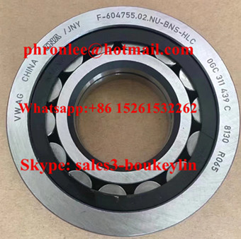 F-604755.02.NU-BNS-HLC Cylindrical Roller Bearing 35x80x18mm