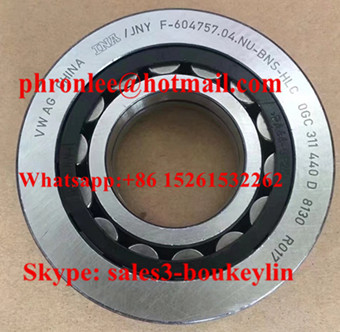 F-604757.04.NU Cylindrical Roller Bearing 31x72x18mm
