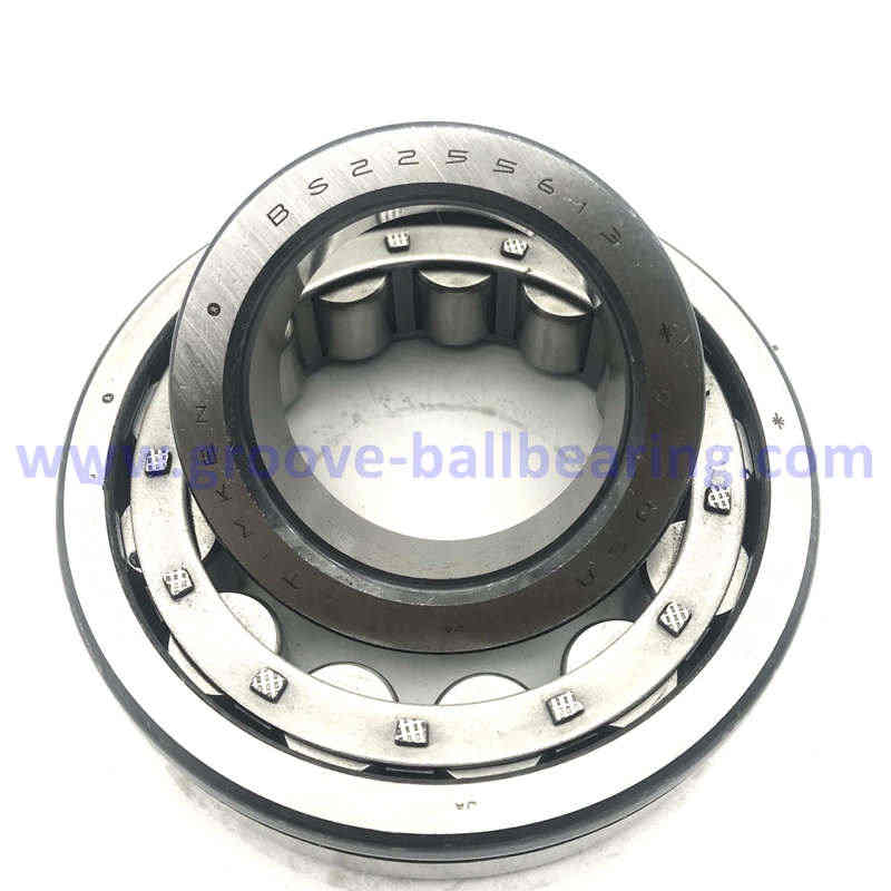 BS225560 Roller Bearing 60*130*31mm