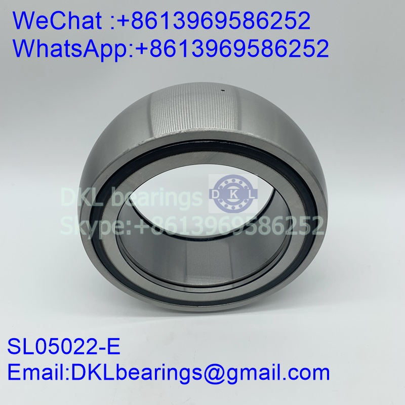 SL05022-E Cylindrical Roller Bearing (High quality) size 110x170x60 mm