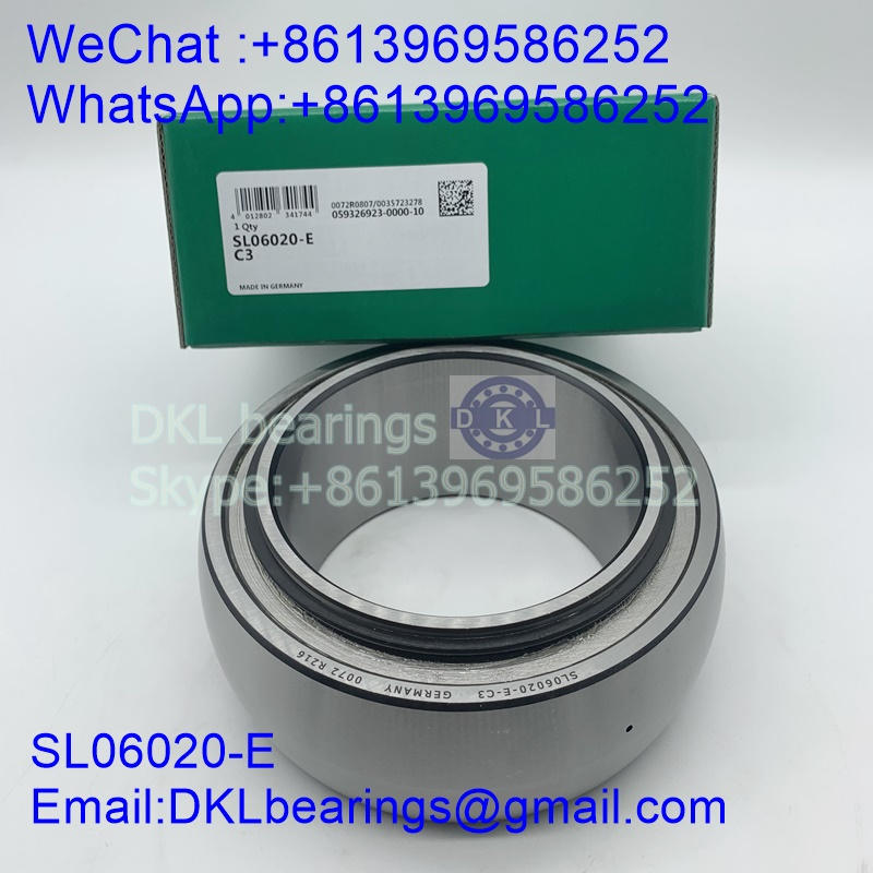 SL06020-E Cylindrical Roller Bearing (High quality) size 100x150x65 mm