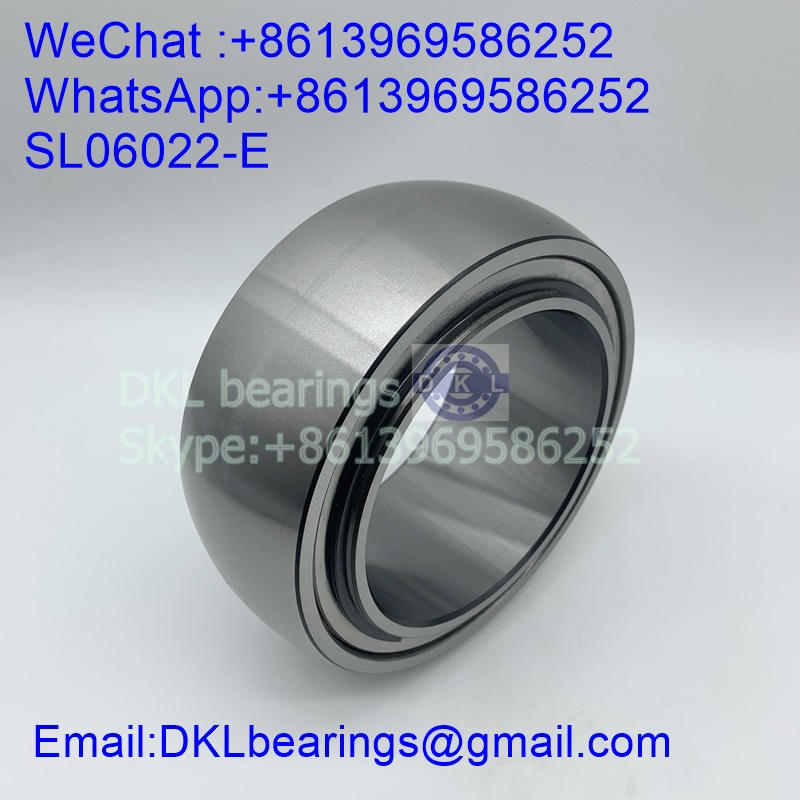 SL06022-E Cylindrical Roller Bearing (High quality) size 110x170x75 mm