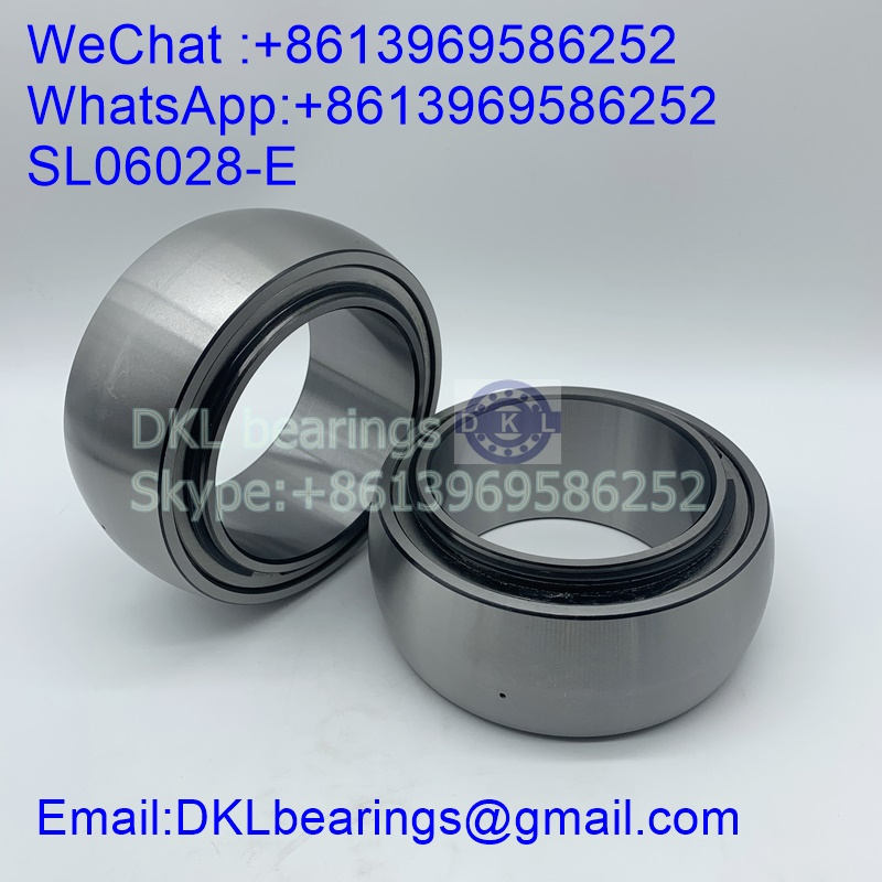 SL06028-E Cylindrical Roller Bearing (High quality) size 140x210x85 mm