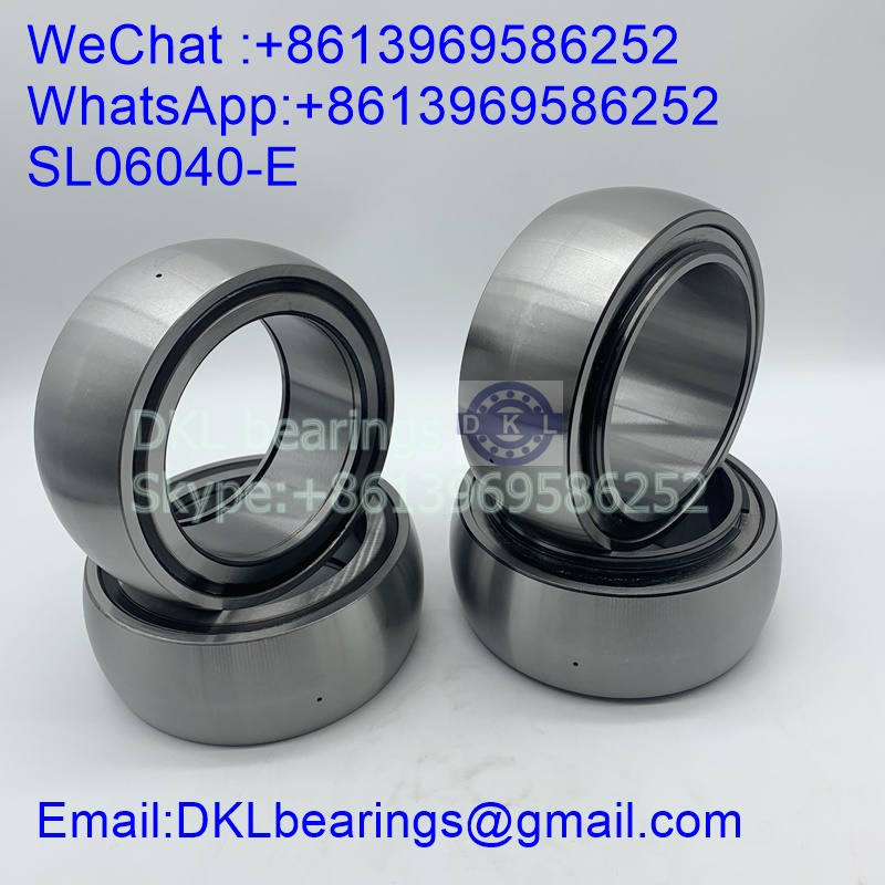 SL06040-E Cylindrical Roller Bearing (High quality) size 200x310x140 mm
